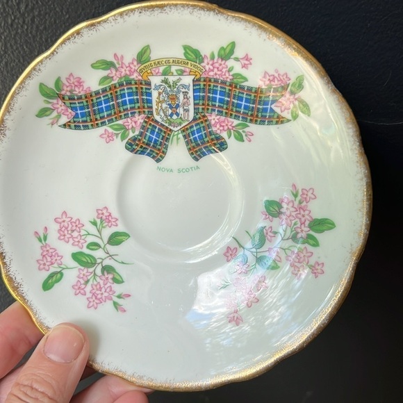 Nova Scotia Tartan  Teacup and Saucer Fine Bone China Vintage Gilt Edge Tea Cup - Picture 2 of 7
